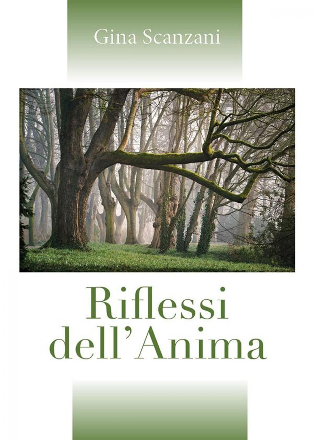 Big bigCover of Riflessi dell'Anima