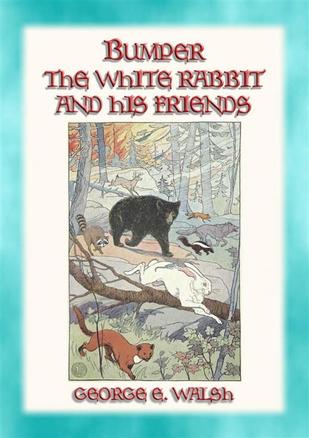 Big bigCover of BUMPER THE WHITE RABBIT AND FRIENDS - 16 illustrated stories of Bumper and his Friends