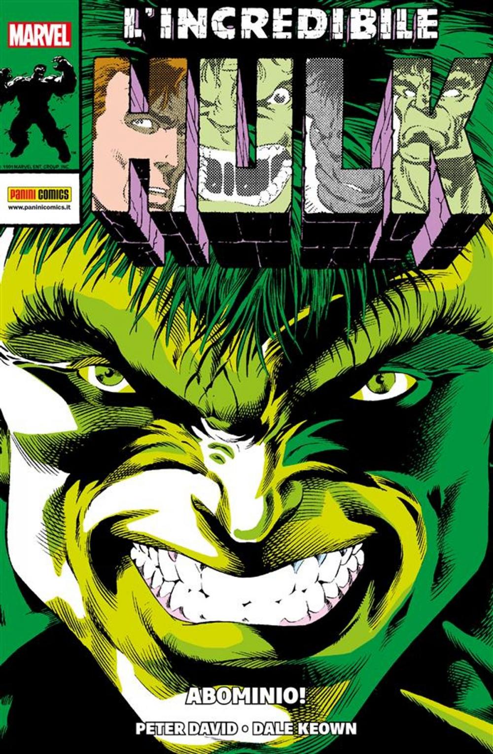 Big bigCover of L'Incredibile Hulk (Marvel Collection)