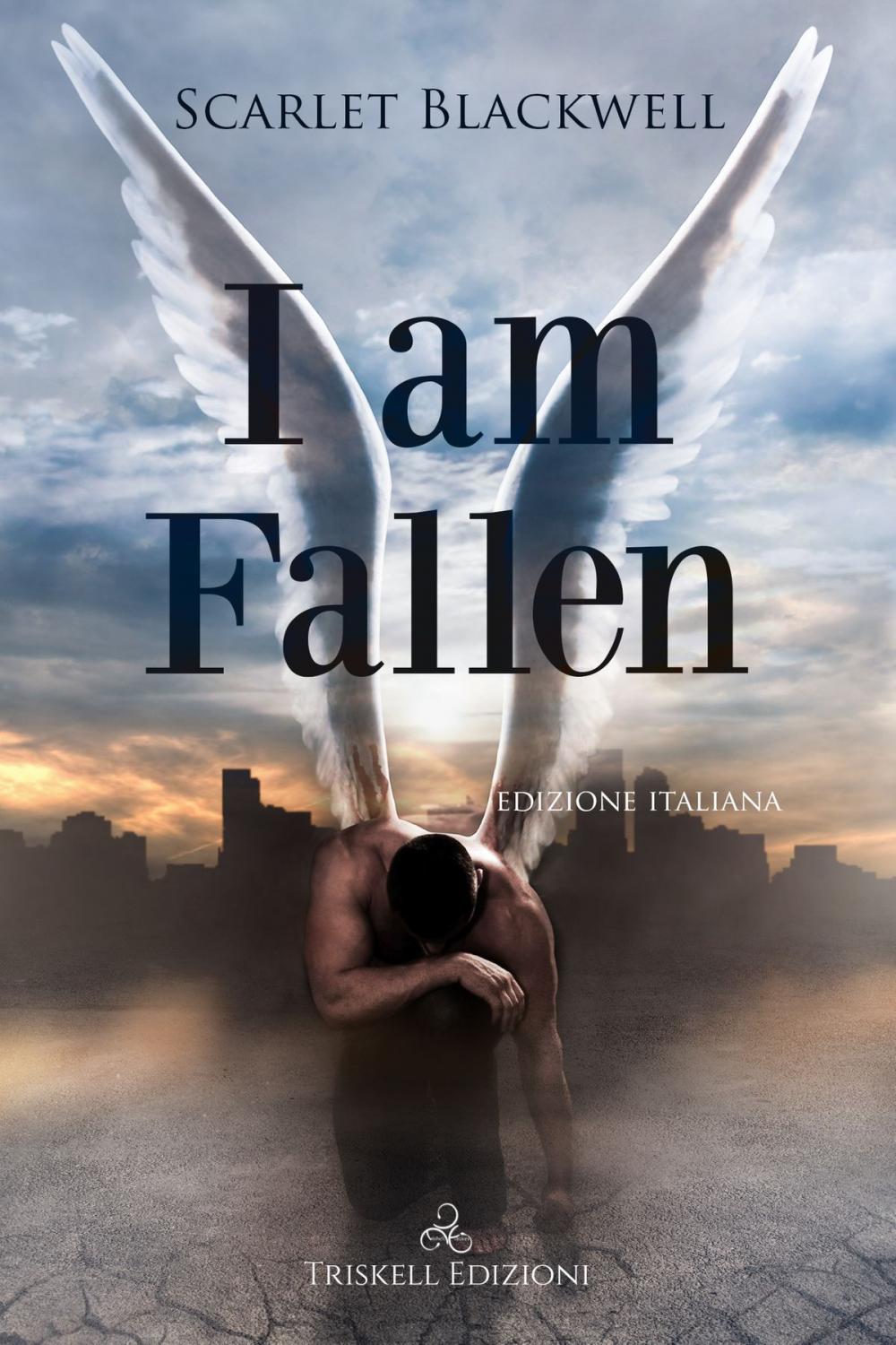 Big bigCover of I Am Fallen