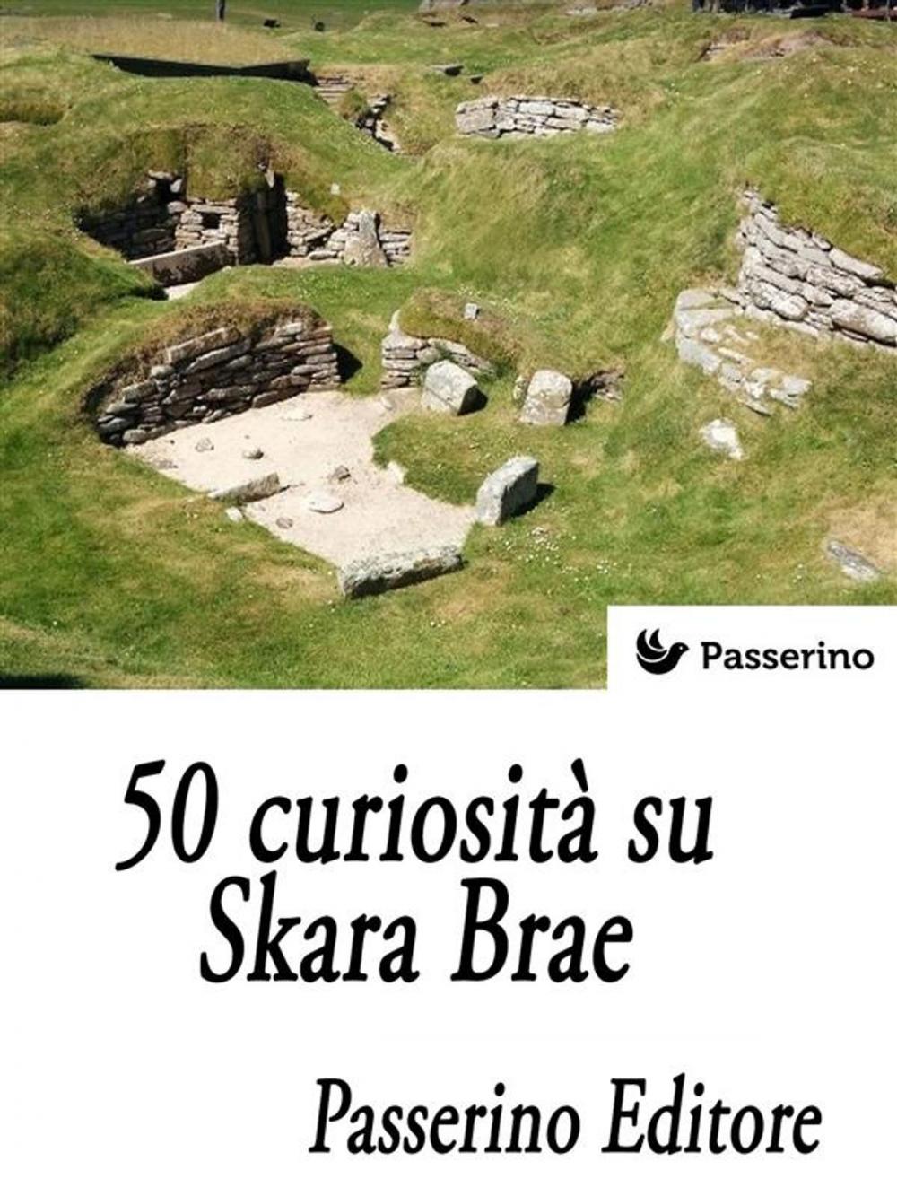 Big bigCover of 50 curiosità su Skara Brae