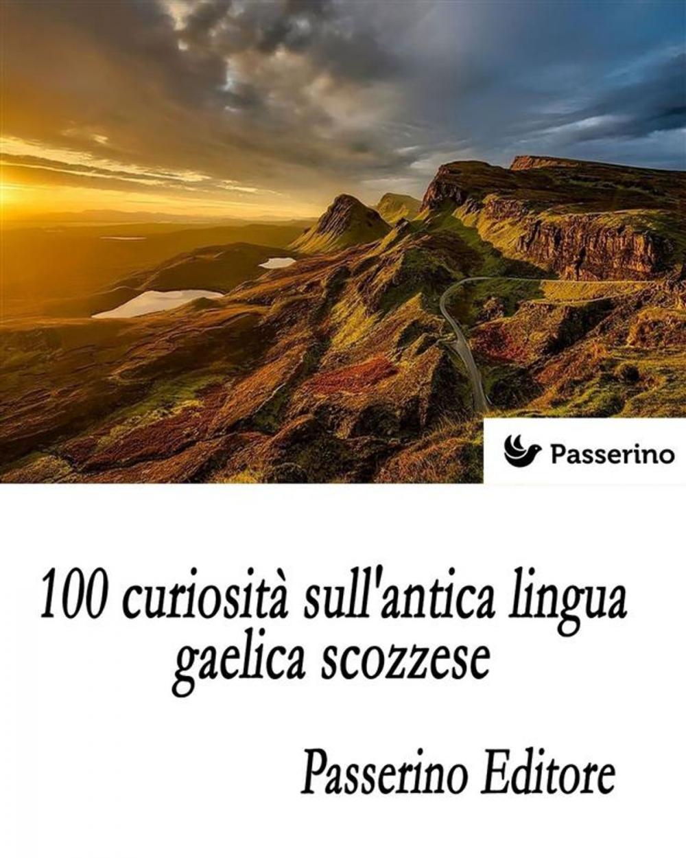 Big bigCover of 100 curiosità sull'antica lingua gaelica scozzese