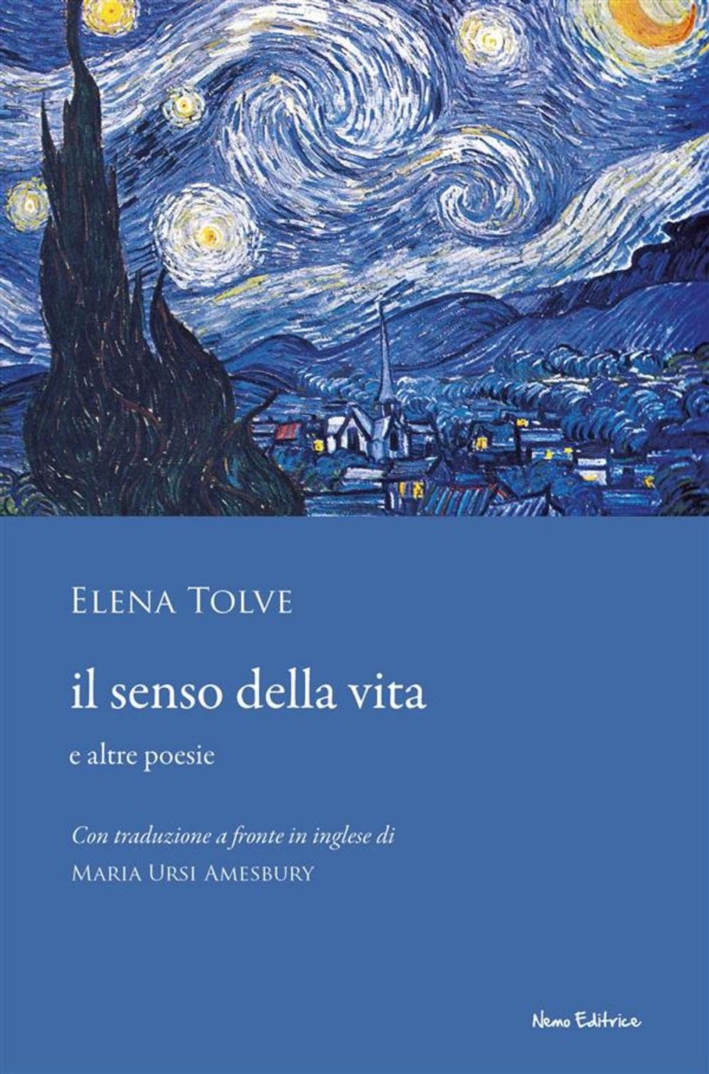 Big bigCover of Il senso della vita e altre poesie