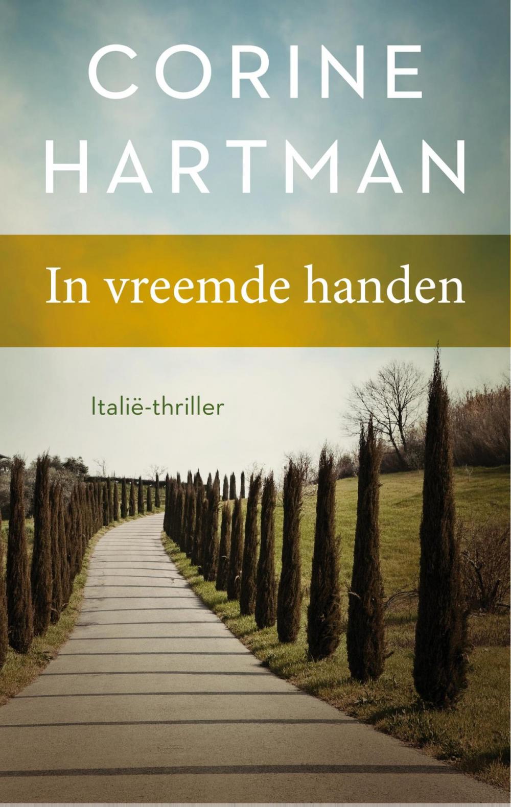 Big bigCover of In vreemde handen