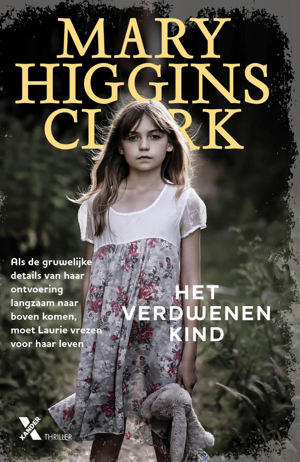 Big bigCover of Het verdwenen kind