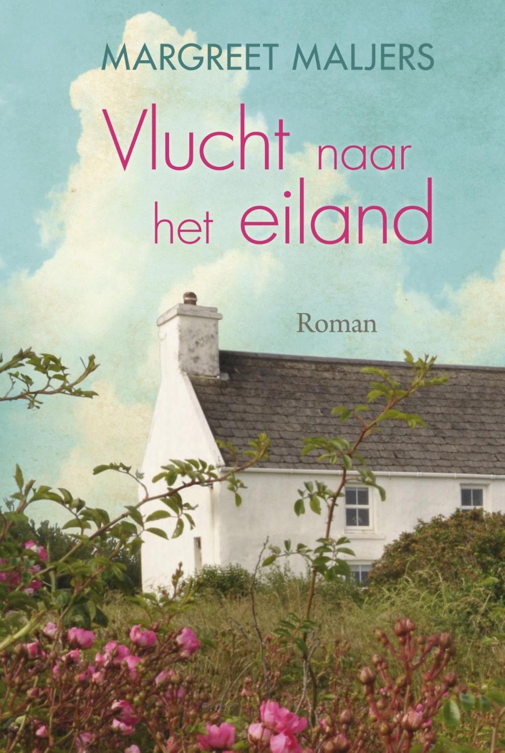 Big bigCover of Vlucht naar het eiland