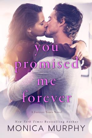bigCover of the book You Promised Me Forever by 