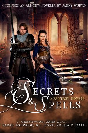 Cover of the book Secrets & Spells by David Ulnar-Slew