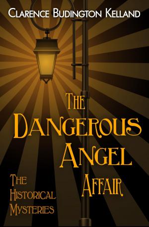 Cover of the book The Dangerous Angel Affair by Steve Davidson (Ed.), Jean Marie Stine, Jack Williamson, Edmond Hamilton