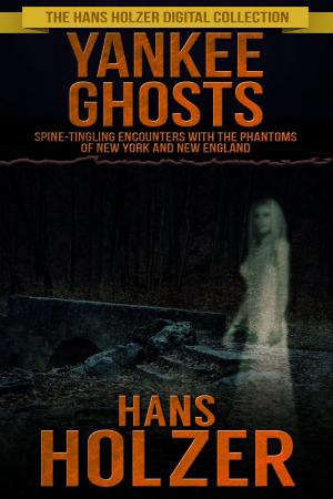 bigCover of the book Yankee Ghosts by 