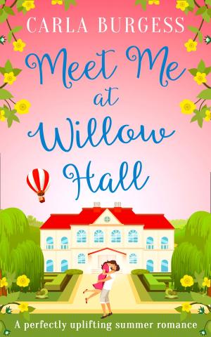 Cover of the book Meet Me at Willow Hall by Dante Alighieri