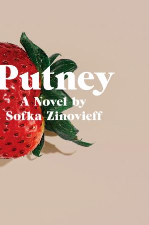 Cover of the book Putney by Francois Dionne