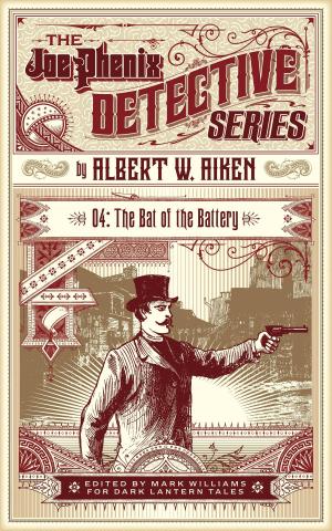 Book cover of The Bat of the Battery