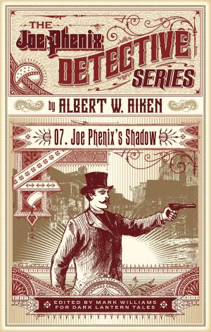 Book cover of Joe Phenix's Shadow
