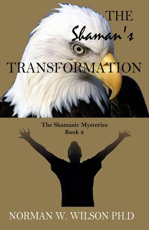 Book cover of The Shaman's Transformation