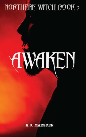 bigCover of the book Awaken (Northern Witch #2) by 