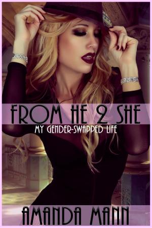 Cover of the book From He 2 She: My Gender-Swapped Life by Robyn Donald
