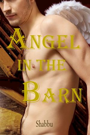 Cover of the book Angel in the Barn by Verity Marshall