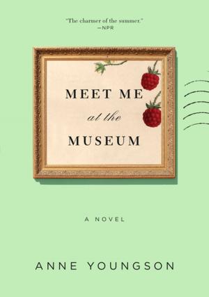 Book cover of Meet Me at the Museum