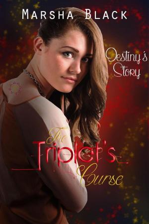 Cover of the book The Triplet's Curse - Destiny's Story by Ashley Stoyanoff