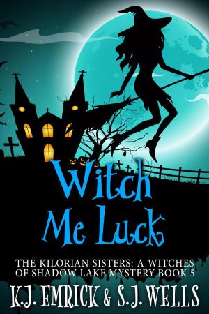 Book cover of Witch Me Luck