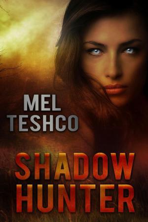 Book cover of Shadow Hunter