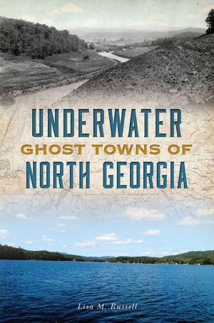 Cover of the book Underwater Ghost Towns of North Georgia by Christopher Bell