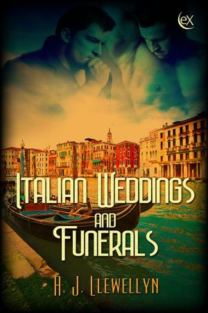 Cover of the book Italian Weddings and Funerals by M.R. Deguara