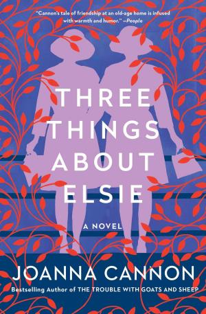 Cover of the book Three Things About Elsie by Matt Coyne
