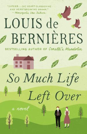Book cover of So Much Life Left Over