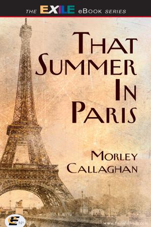Cover of the book That Summer in Paris by Enrique Sánchez Goyanes