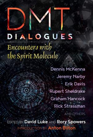 Cover of the book DMT Dialogues by Elisabeth Bond