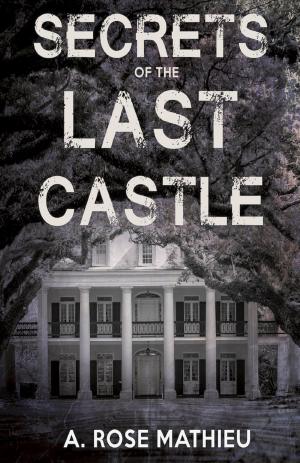 Cover of the book Secrets of the Last Castle by Colette Moody