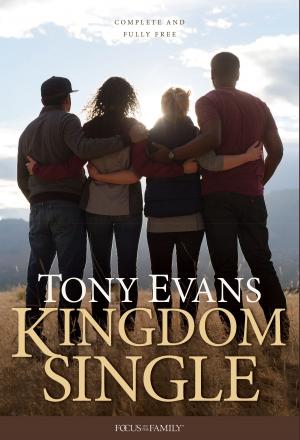 Cover of the book Kingdom Single by Lindsay Roberts