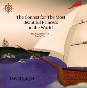 Cover of the book The Contest for the Most Beautiful Princess in the World by Marius A. Smith