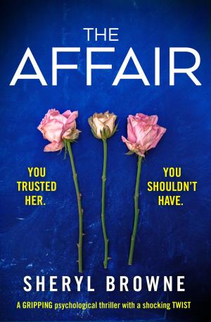 Cover of the book The Affair by Michael Scanlon