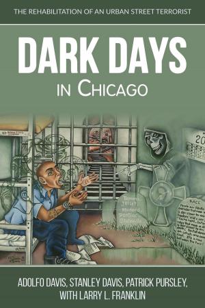 bigCover of the book Dark Days in Chicago by 