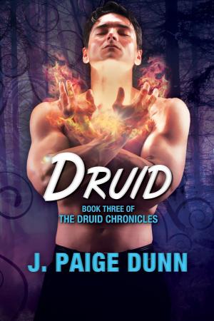 Cover of the book Druid: Book Three of the Druid Chronicles by E.M. Sinclair