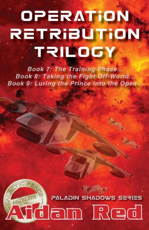 Cover of the book Operation Retribution Trilogy by D. Rebbitt