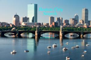 Cover of the book Boston City Search by fabio massimo rapanà