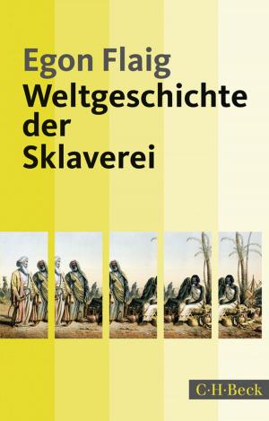 Cover of the book Weltgeschichte der Sklaverei by Peter Köhler