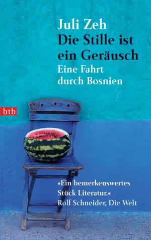 Cover of the book Die Stille ist ein Geräusch by Hanns-Josef Ortheil
