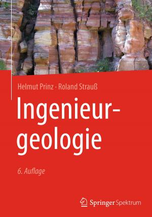 Cover of the book Ingenieurgeologie by Bernd Herrmann