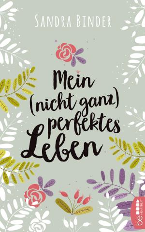 Book cover of Mein (nicht ganz) perfektes Leben
