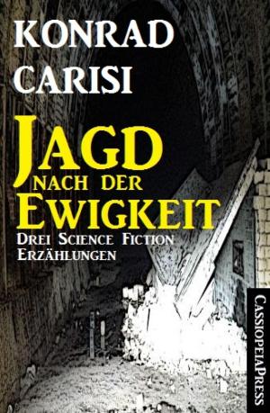 Cover of the book Die Jagd nach der Ewigkeit by Christine Woydt