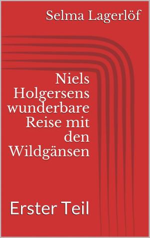 Cover of the book Niels Holgersens wunderbare Reise mit den Wildgänsen - Erster Teil by Henriette Frädrich, Lena Terlutter
