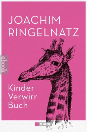 bigCover of the book Kinder-Verwirr-Buch und Geheimes Kinder-Spiel-Buch by 