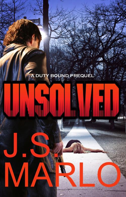 Cover of the book Unsolved by J. S. Marlo, Deslisle Publications