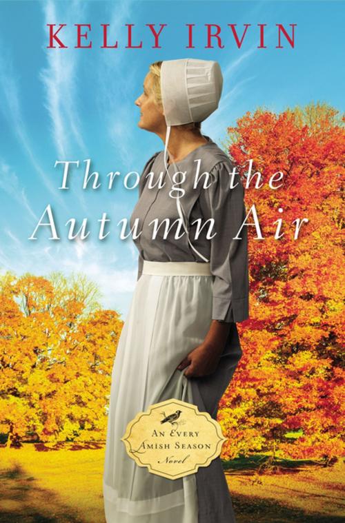 Cover of the book Through the Autumn Air by Kelly Irvin, Zondervan