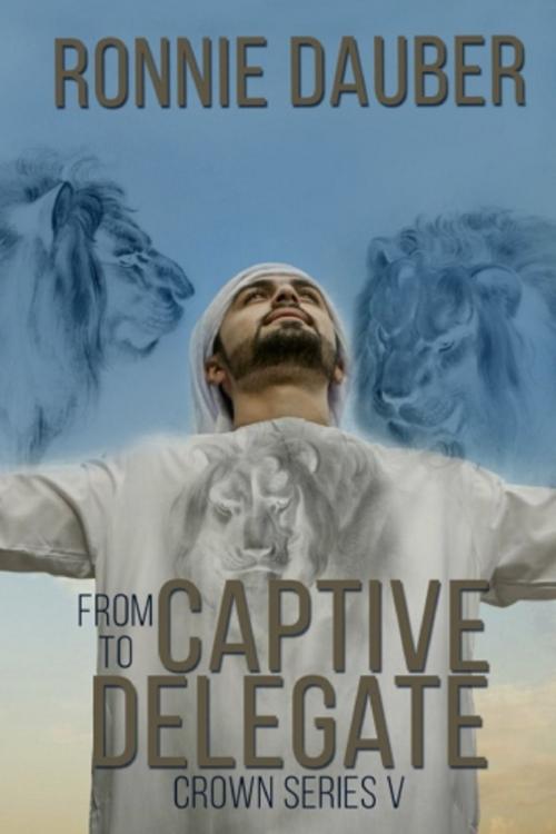 Cover of the book From Captive to Delegate by Ronnie Dauber, Ronnie Dauber